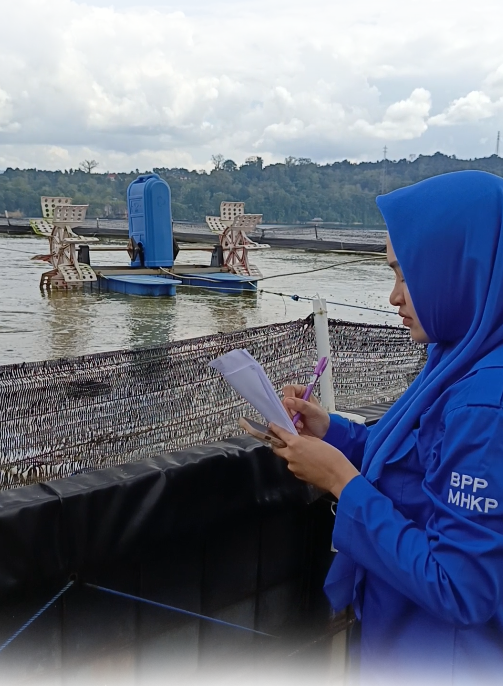 Screenshot 2025-09-19 081930